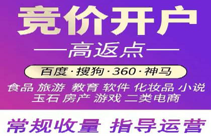 某某sem广告公司成功案例：如何通过SEM优化提高电商销售额