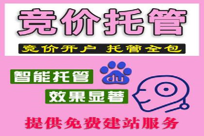 百度推广平台实战技巧：案例解析，提升广告效果